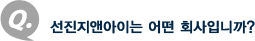 Q. 선진지앤아이는 어떤 회사입니까?