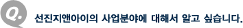 Q. 선진지앤아이의 사업분야에 대해서 알고 싶습니다.